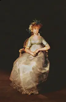 Francisco De Goya Drucke: The Countess of Chinchon