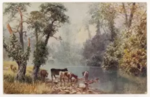 Ivy Covered Trees Drucke: Cows & River Sid