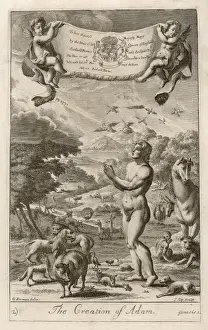 Michelangelo Sistine Chapel Ceiling Drucke: Creation of Adam
