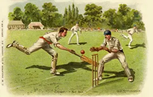 Cricket