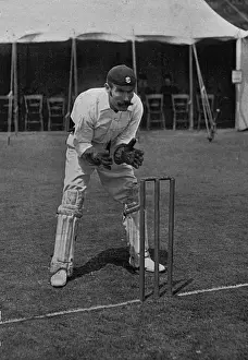 Cricket History Drucke: Cricketer, Wood
