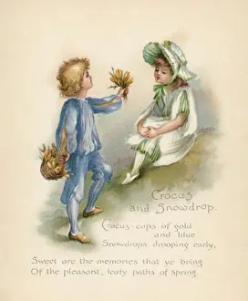 Krokus und Schneebloem / Sprache der Blumen