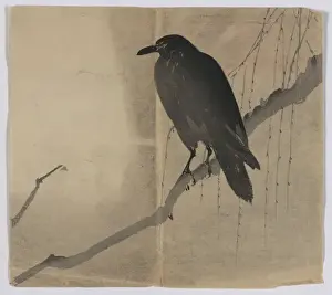Japanese Woodblock Prints Drucke: Crow on a willow branch