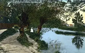 Vintage London Prints Drucke: Croyden, Willows on the Wandle