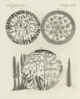 Friedrich Bertuch Prints Online Drucke: Crystals of silver solution and Dianas tree