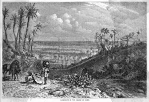 Cuban History Images Drucke: Cuba Landscape
