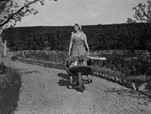 Historical Farming Practices UK Drucke: Cucumber Wheelbarrow