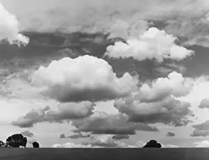 Cumulus Clouds
