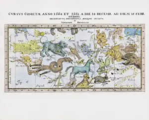 Johannes Hevelius Artwork Drucke: Cursus Cometae, treated on the location and trajectory