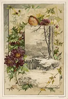 British Winter Landscapes Drucke: Customs / Christmas / Robins