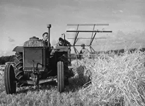 Farming In Britain Drucke: Cutting the Crop