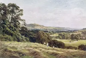 Traditional Farming Methods UK Drucke: Cutting the Hay