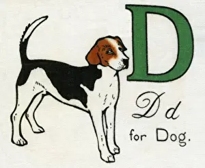 Vintage Dog Illustration Drucke: D for Dog