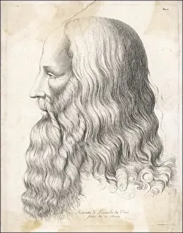 Leonardo Da Vinci Self Portrait Drucke: Da Vinci / Self / Profile