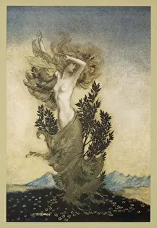 Classical Mythology Images Drucke: Daphne Becomes a Tree