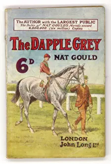Equine Art Prints Drucke: THE DAPPLE GREY