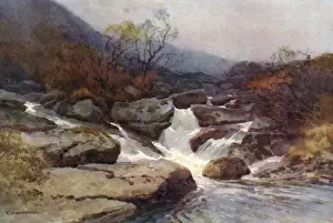 Devon Scenery Drucke: Dartmoor Stream
