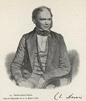 Evolution Theory Pioneers Drucke: Darwin / 1849 / Masure