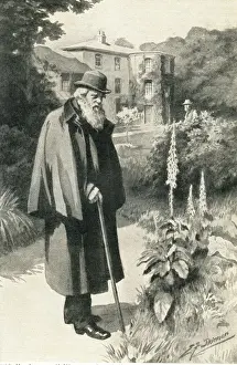 Darwin in seinem Garten.