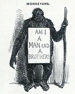 Die Theorie der Evolutionslehre von Darwin