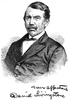 David Livingston