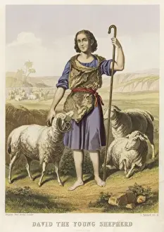 David als Schäfer