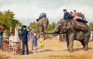 Ein Tag im Zoo