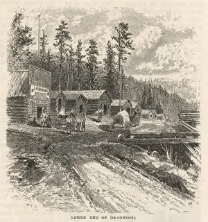 Todsbauernland USA