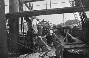 Die Treppe der Fram im Jahr 1912