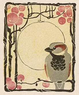 Historical Bird Prints Drucke: Decorative Bird