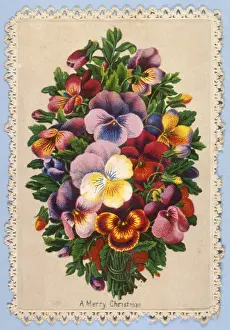 Decorative Floral Arrangements Drucke: Decorative Plants
