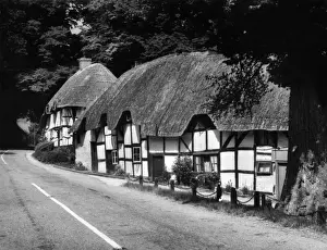 Traditional English Cottages Drucke: Deep Thatched Cottages