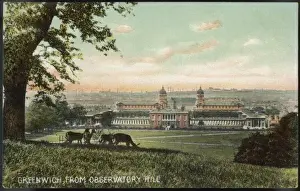 Royal Naval College Drucke: Deer on Observatory Hill