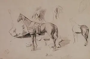 Dello, Pferd des Generals Prim (Graf von Mirabeau). 1860. Zeichnung von Mariano Fortuny y Marsal