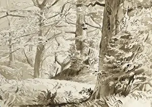 Raymond Sheppard Artwork Drucke: Dense foliage on Stanmore Common