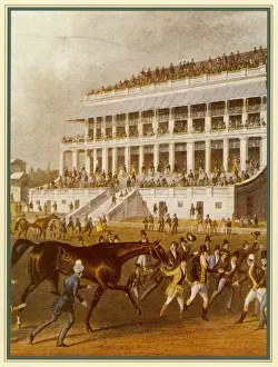 Derby Winner Drucke: The Derby Winner