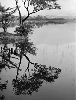 Derwent Water England Drucke: Derwentwater Reflections