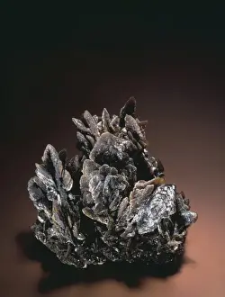 Natural History Museum Specimens Drucke: Descloizite