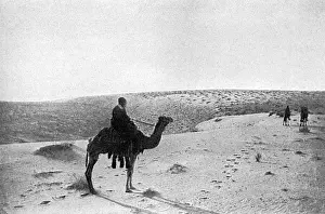 Desert Landscapes Drucke: The Desert