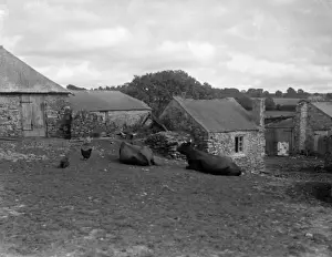 Farming In Britain Drucke: Devon Farmyard