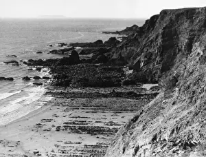 Low Tide Scenery Drucke: Devonshire Coastline