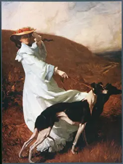 Drucke von Dianna der Wiesen W Drucke: Die von den Hügeln