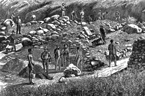 South Africa History Drucke: Diggers at work in the Transvaal gold fields