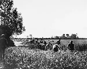 WW1 Trenches Drucke: Digging trenches