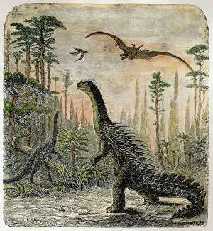 Stegosaurus