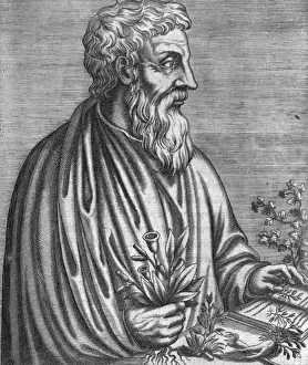 Greek Medical History Drucke: Dioscorides (Thevet)