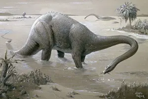 Ausgestorben Drucke: Diplodocus