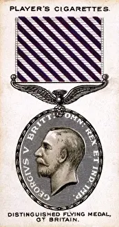 Angesehener Flug
