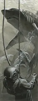 Die letzte Tauchreise