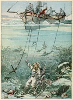 Kapstadt Drucke: Tauchfresser und Oktopus